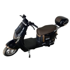 WhatsApp Image 2025-07-31 at 14.26.24 (1)